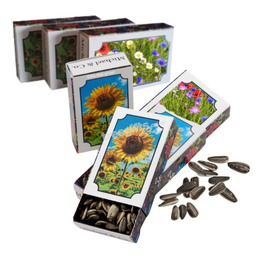 Seed Match Boxes - Tree Gifts NZ