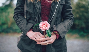 Tips on Caring for your Camellia Trees