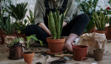 Keeping Safe When Spring Gardening