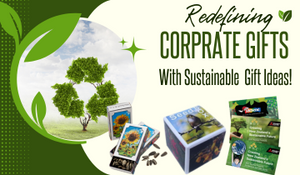 Top Sustainable Corporate Gift Ideas