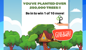 You've helped us plant 250,000 Tree and Plants across NZ!