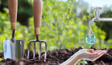 Water Saving Ideas for Your Garden