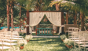 Tree Gifts Blog on Eco Friendly Weddings