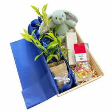 Jade coloured Bunny, Hand Cream and Chocolate Heart Pebbles with Tree Gift in wooden gift box
