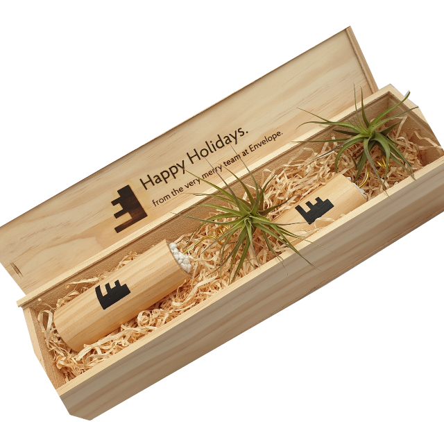 Air Plant Stands & Plants - Tree Gifts NZ