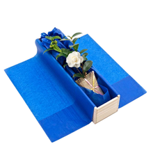 White Camellia - flowers in Winter Small tree gift
