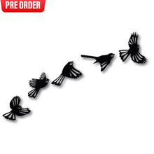 Flying Fantail Set - Pre-Orders Open