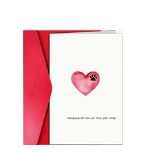 Pet Sympathy Card Collection
