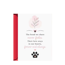 Pet Sympathy Card Collection