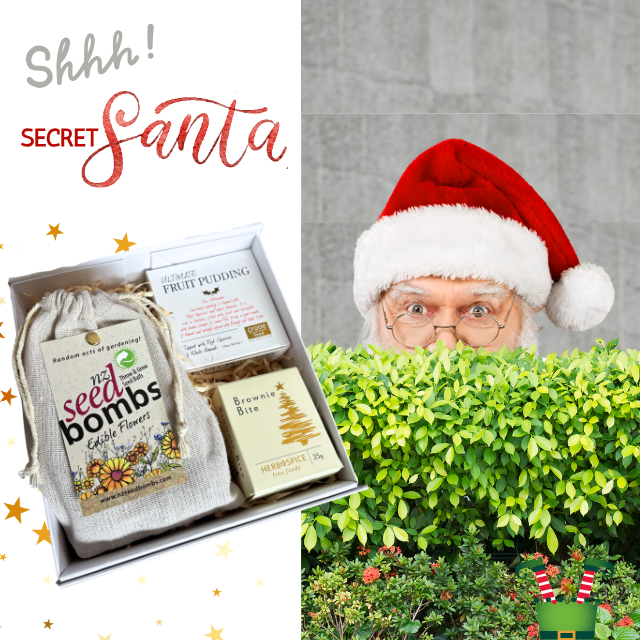 Secret Santa Gift Box Seed Bombs, Fruit Pudding and Brownie Bite