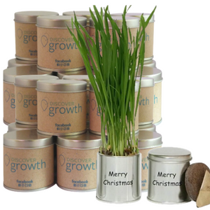 Business Seed Gift NZ