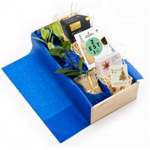 Christmas Pudding Gift Box - Tree Gifts NZ