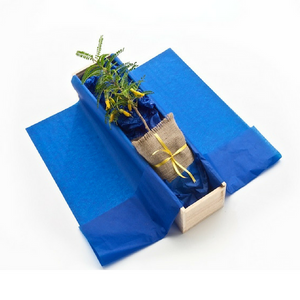 Business Gifts for Christmas 2022 - Tree Gifts NZ