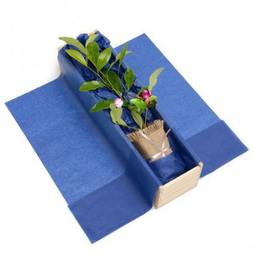 Magnolia Tree in wooden gift box delivered within New Zealand 