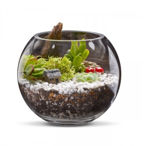 Woodlands Terrarium Kit - Tree Gifts NZ